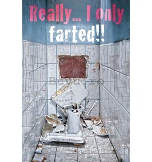 Poster - Only Farted