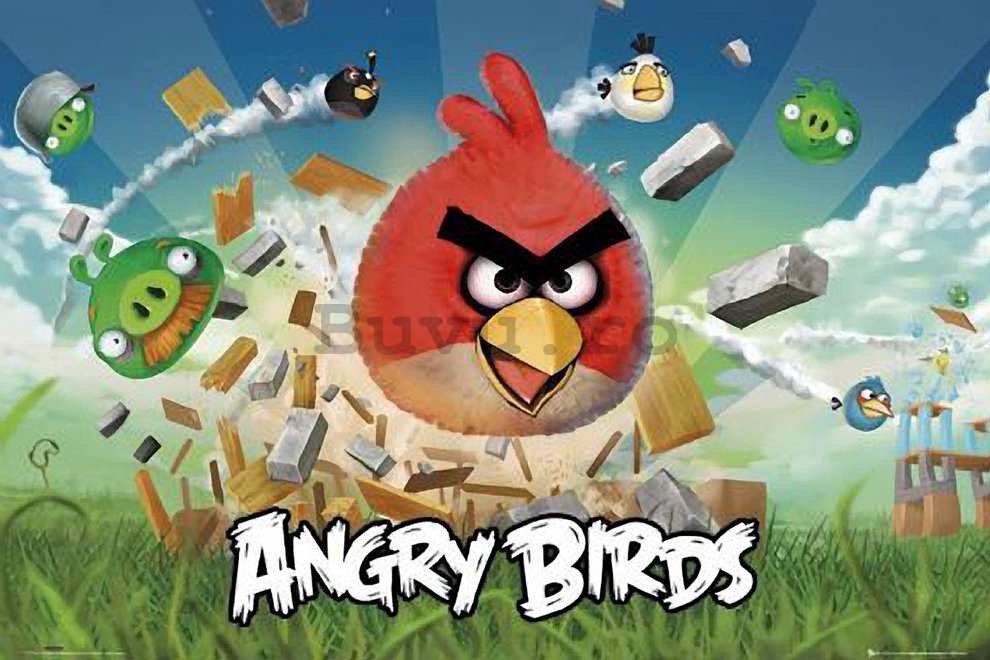 Poster - Angry Birds
