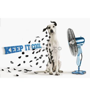 Poster - Keep it Cool