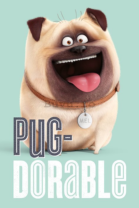 Poster - The Secret Life of Pets (Pug-Dorable)