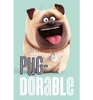 Poster - The Secret Life of Pets (Pug-Dorable)