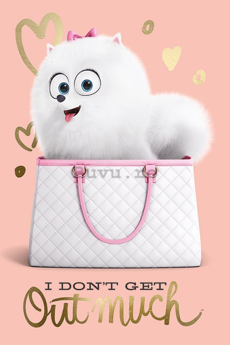 Poster - The Secret Life of Pets (I Do not Get Out Much)
