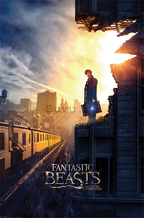 Poster - Fantastic Beasts and Where to Find Them (1)