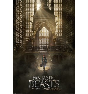 Poster - Fantastic Beasts and Where to Find Them (2)