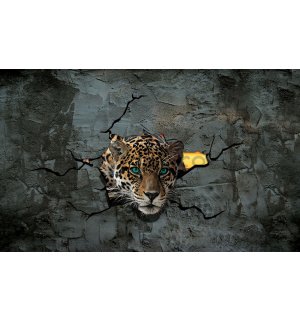 Fototapet: Gepard în zid - 254x368 cm