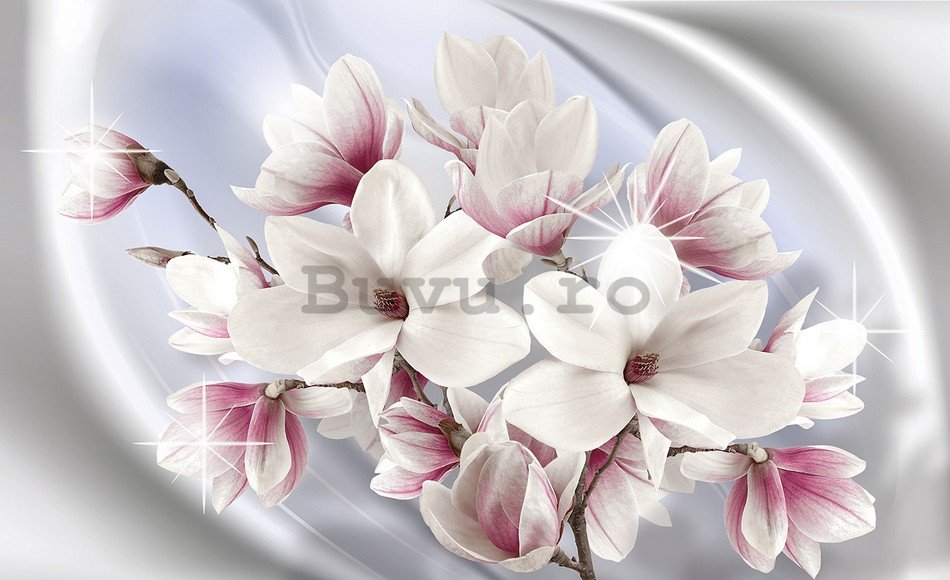 Fototapet: Magnolii (1) - 254x368 cm