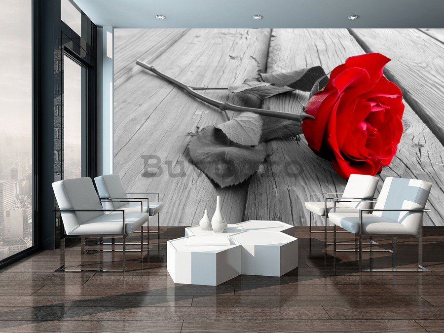 Fototapet: Trandafir roșu - 184x254 cm