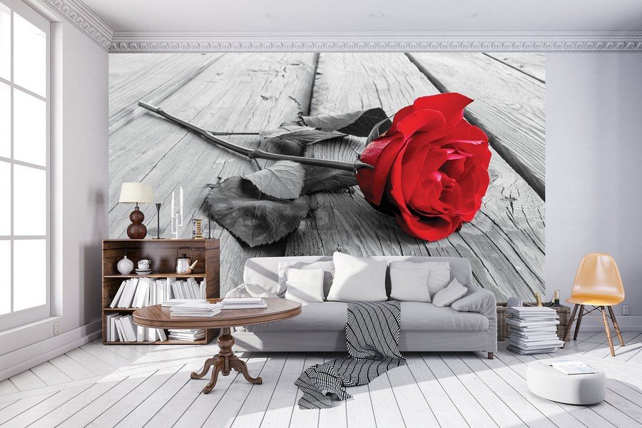Fototapet: Trandafir roșu - 104x152,5 cm