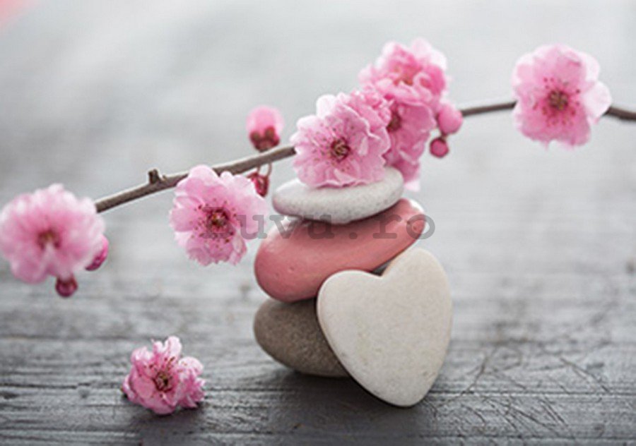 Fototapet: Cireș și inimă în floare - 254x368 cm