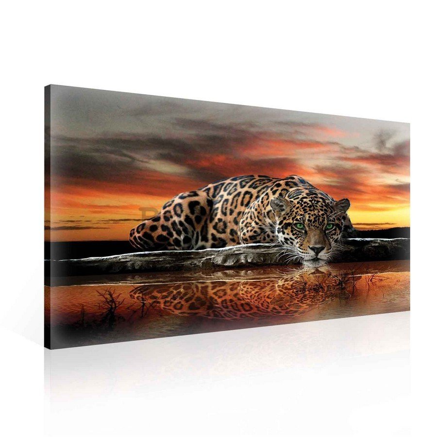 Tablou canvas: Jaguar - 75x100 cm
