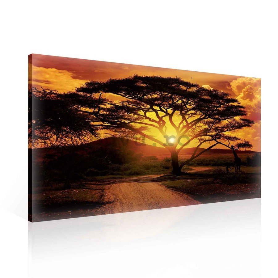 Tablou canvas: Apus de soare african - 75x100 cm