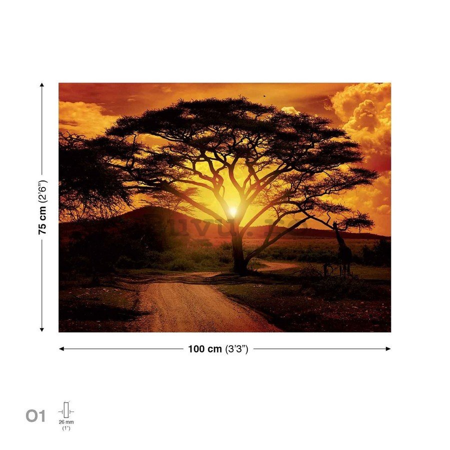 Tablou canvas: Apus de soare african - 75x100 cm