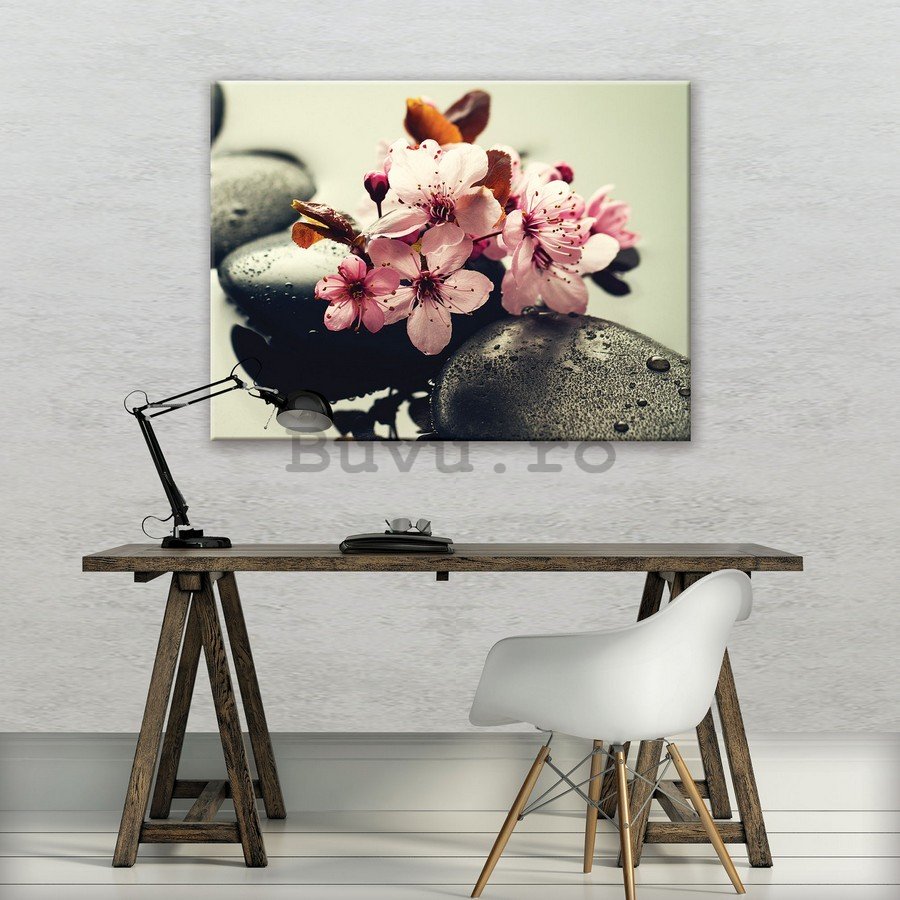 Tablou canvas: Zen und Blumen - 75x100 cm