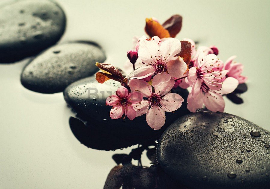 Tablou canvas: Zen und Blumen - 75x100 cm