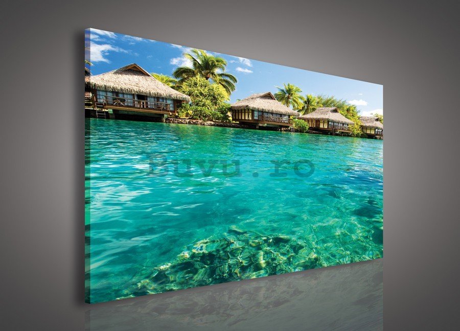 Tablou canvas: Hawaii - 75x100 cm