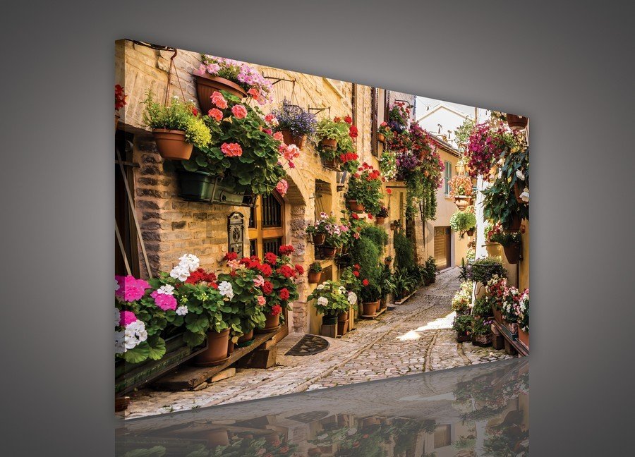 Tablou canvas: Străduță cu flori - 75x100 cm
