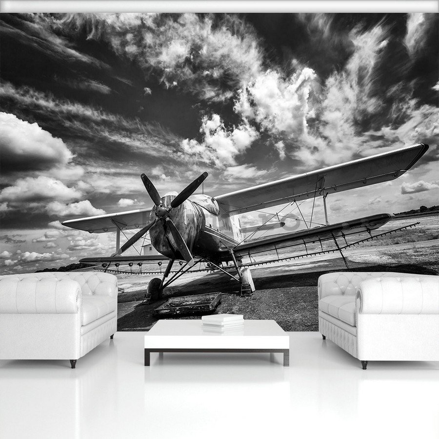 Fototapet vlies: Avion biplan (alb-negru) - 184x254 cm