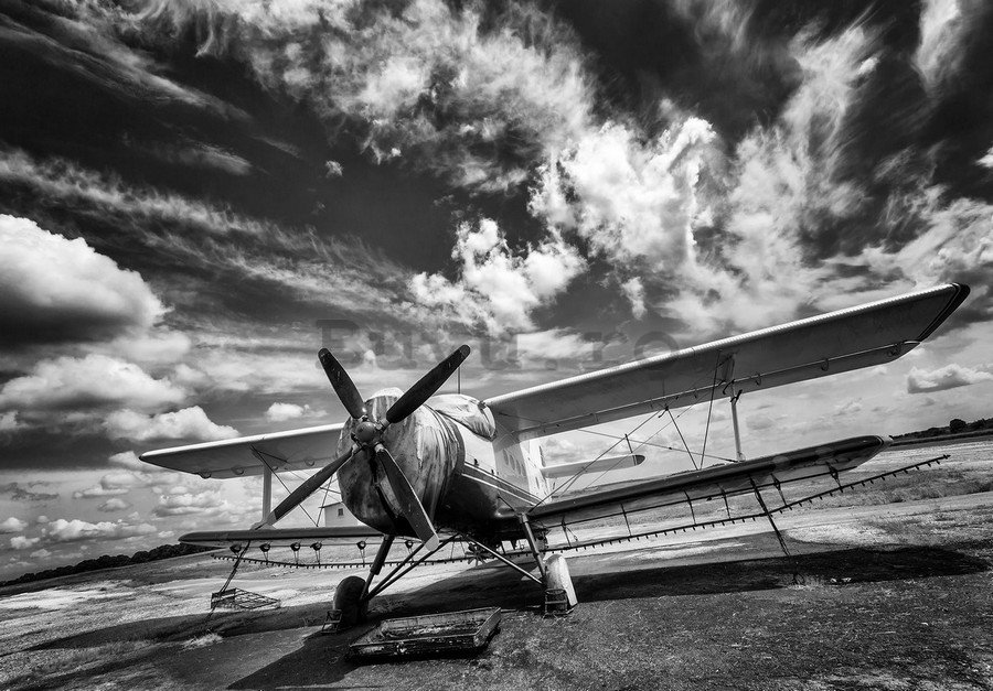 Fototapet vlies: Avion biplan (alb-negru) - 184x254 cm