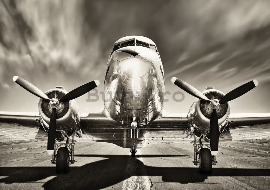 Fototapet vlies: Avion (alb-negru) - 254x368 cm