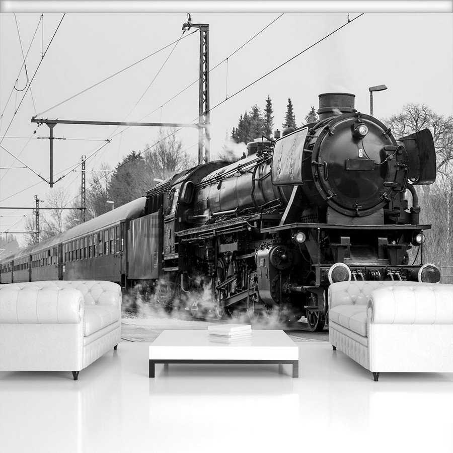 Fototapet vlies: Locomotivă cu abur (alb-negru) - 254x368 cm