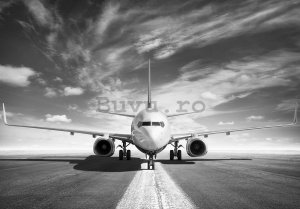 Fototapet vlies: Avion cu reacție (alb-negru) - 184x254 cm