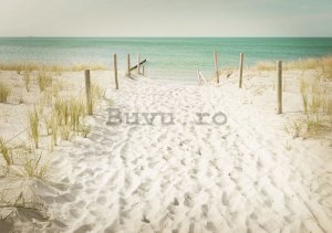 Fototapet vlies: Drum spre plajă (11) - 184x254 cm