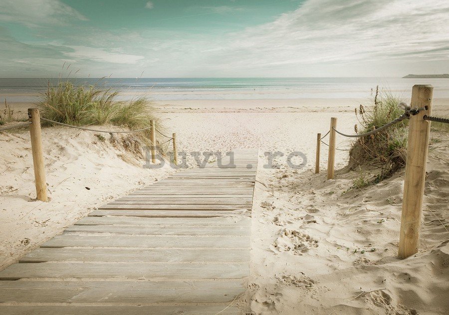 Fototapet vlies: Drum spre plajă (10) - 184x254 cm