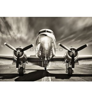 Fototapet vlies: Avion (alb-negru) - 184x254 cm
