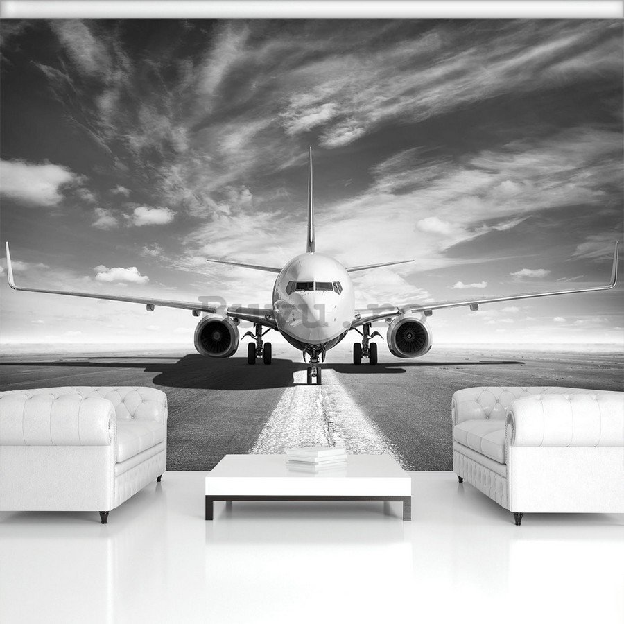 Fototapet vlies: Avion cu reacție (alb-negru) - 254x368 cm