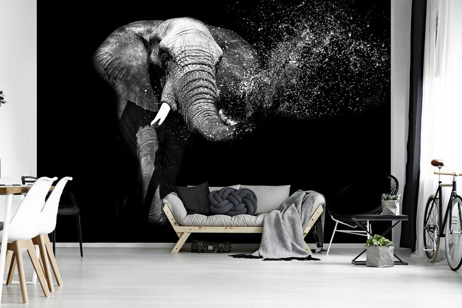Fototapet vlies: Elefant alb-negru - 184x254 cm