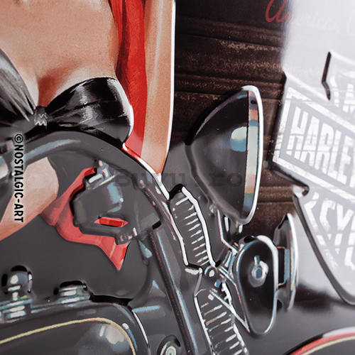 Placă metalică - Harley-Davidson (motociclist)