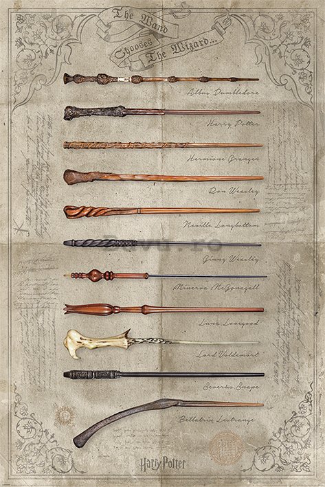 Poster - Harry Potter (The Wand Chooses The Wizard)
