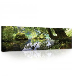 Tablou canvas: Băltoacă de pădure - 145x45 cm
