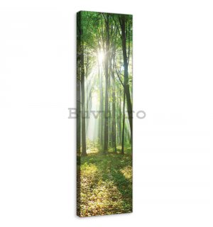 Tablou canvas: Soarele în pădure (3) - 145x45 cm