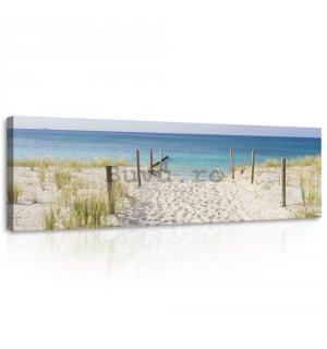 Tablou canvas: Drum spre plajă (3) - 145x45 cm