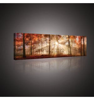 Tablou canvas: Revărsatul de zori în pădure - 145x45 cm