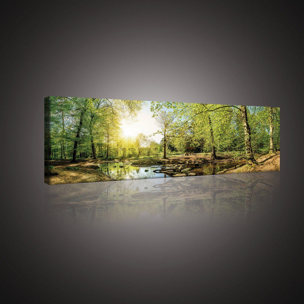 Tablou canvas: Pârâu de pădure (3) - 145x45 cm