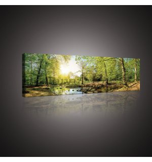 Tablou canvas: Pârâu de pădure (3) - 145x45 cm
