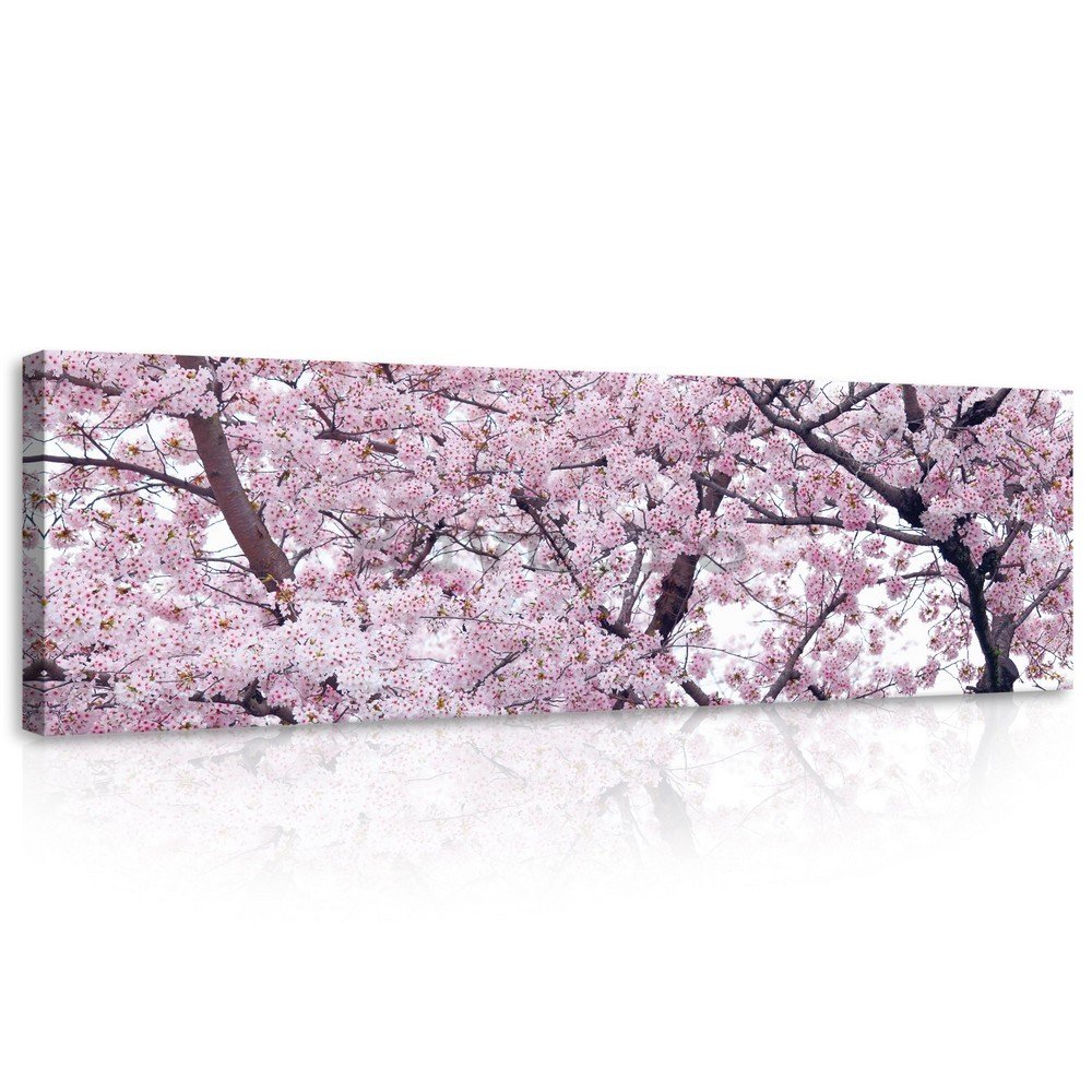 Tablou canvas: Cireș în floare (1) - 145x45 cm