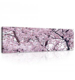 Tablou canvas: Cireș în floare (1) - 145x45 cm