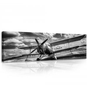 Tablou canvas: Avion biplan (alb-negru) - 145x45 cm