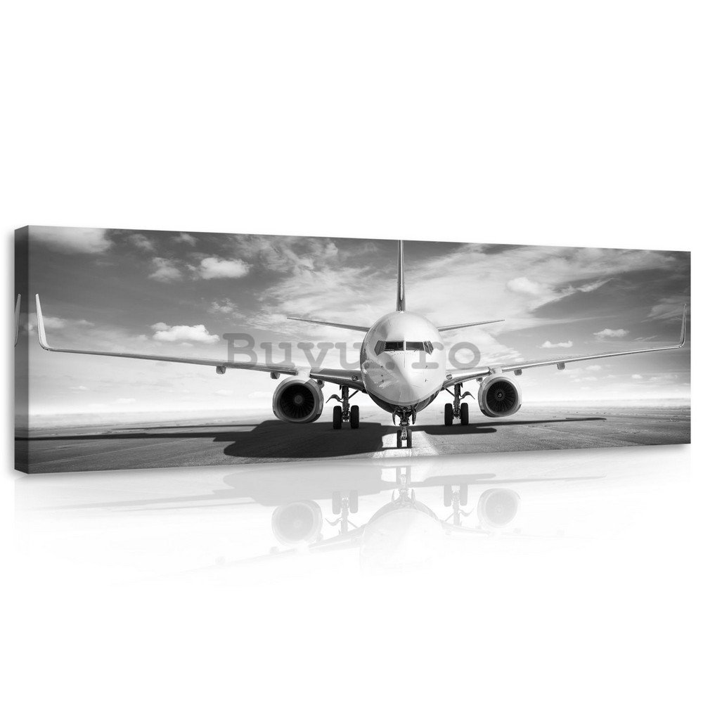 Tablou canvas: Avion cu reacție (alb-negru) - 145x45 cm