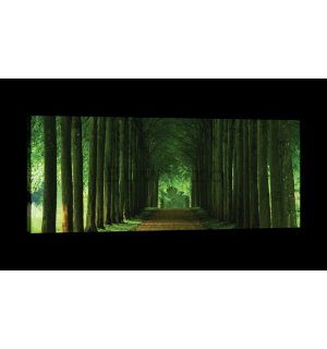 Tablou canvas: Aleea verde (1) - 145x45 cm