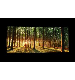 Tablou canvas: Apus de soare în pădure - 145x45 cm
