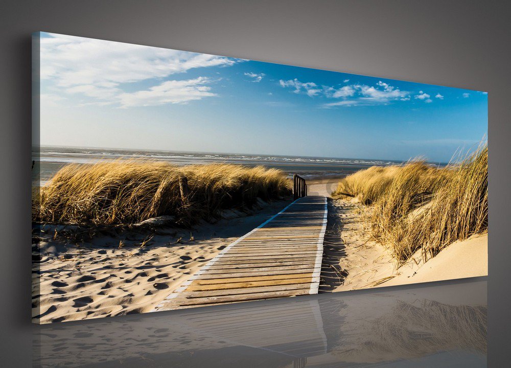 Tablou canvas: Drum spre plajă - 145x45 cm