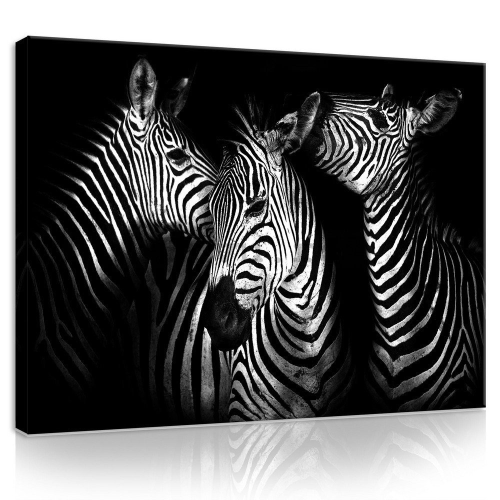 Tablou canvas: Zebre (4) - 75x100 cm