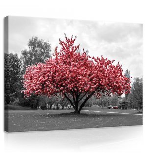 Tablou canvas: Un copac înflorit - 75x100 cm