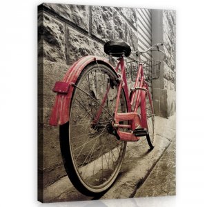 Tablou canvas: Roz biciclete - 100x75 cm
