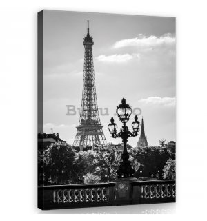 Tablou canvas: Turnul Eiffel alb-negru - 100x75 cm