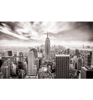 Fototapet: Vedere New York (alb-negru) - 104x152,5 cm